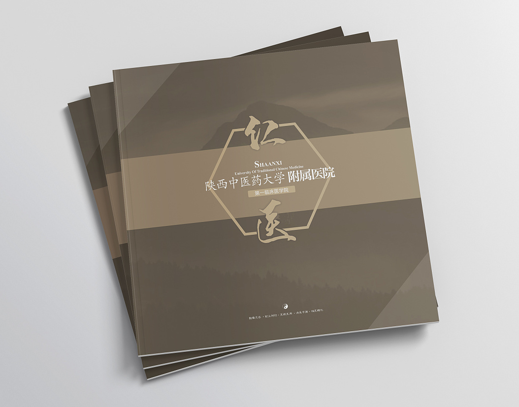 醫(yī)院畫冊(cè)設(shè)計(jì)——醫(yī)院宣傳冊(cè)設(shè)計(jì) 醫(yī)院畫冊(cè)設(shè)計(jì)——醫(yī)院宣傳冊(cè)設(shè)計(jì)