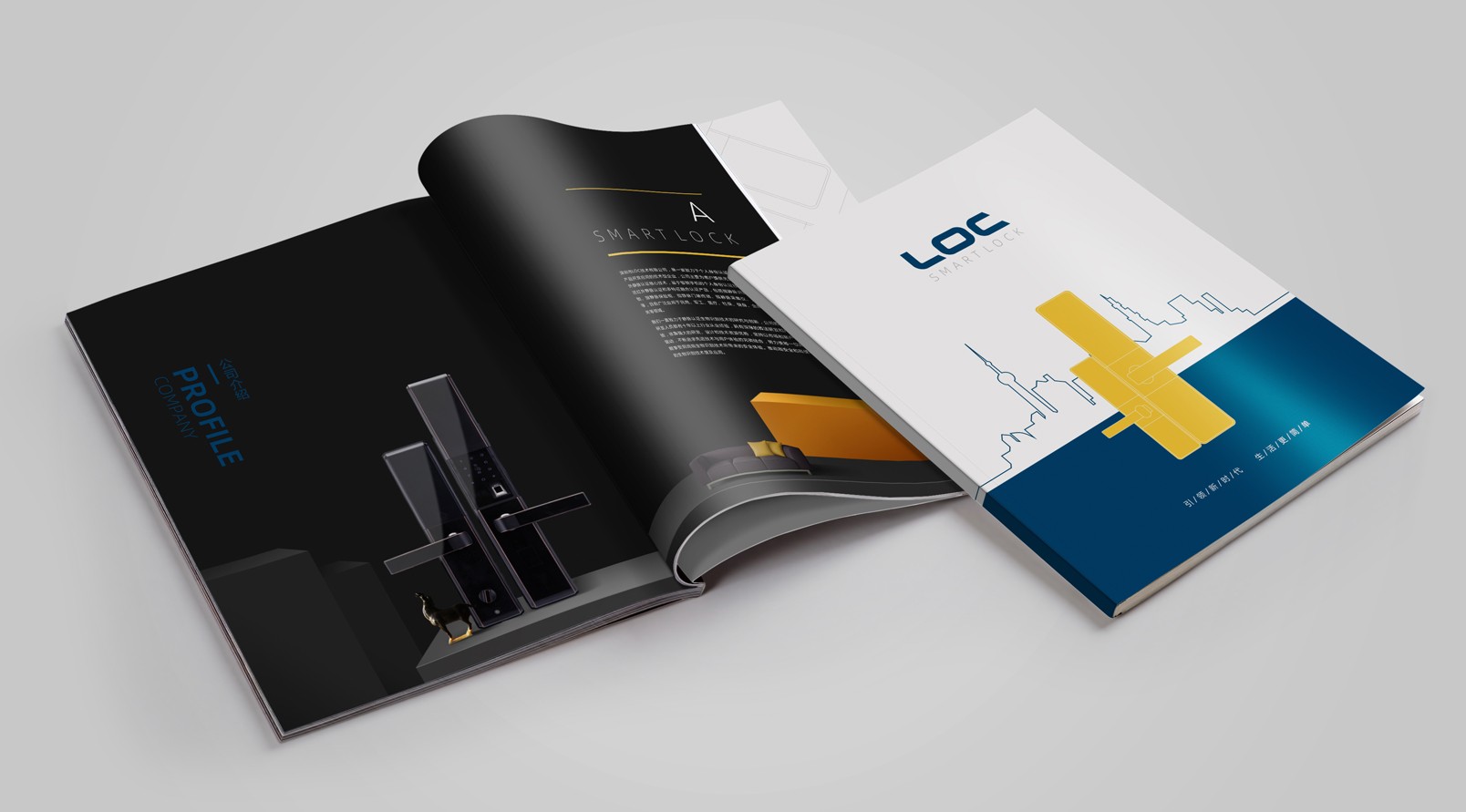 鎖業(yè)公司產(chǎn)品畫冊設(shè)計