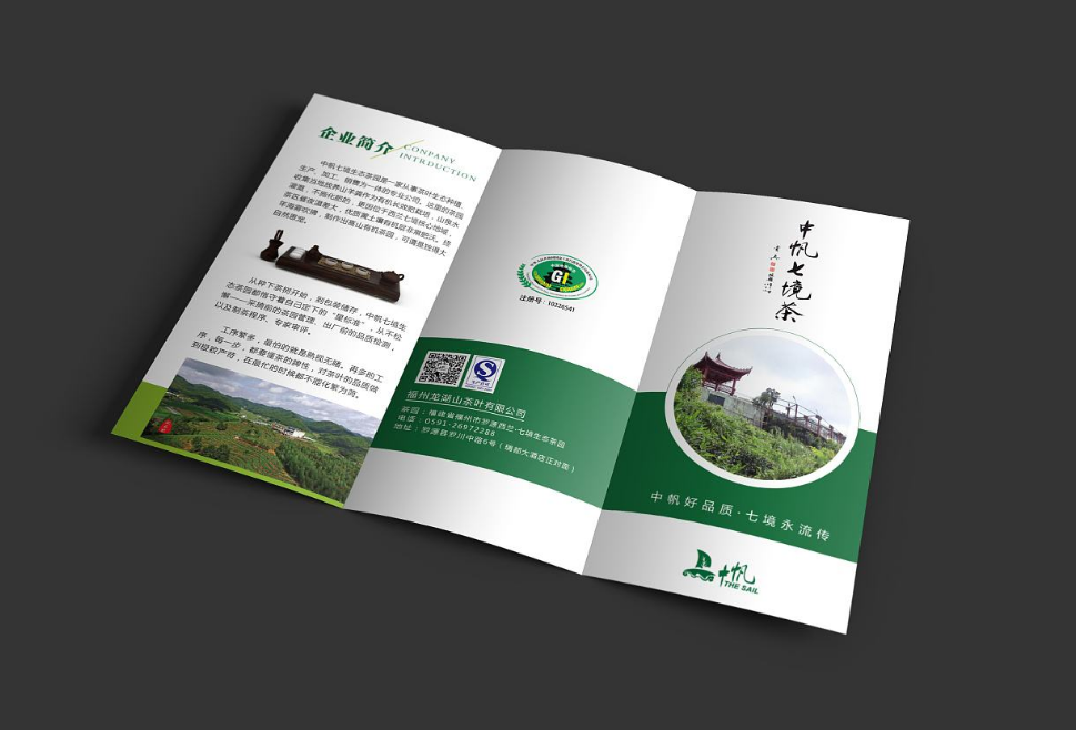 東莞企業(yè)宣傳三折頁設計 東莞企業(yè)宣傳三折頁設計