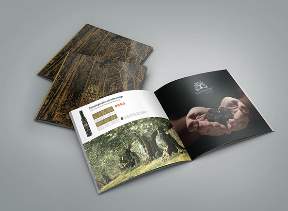 國(guó)外創(chuàng)意營(yíng)銷(xiāo)畫(huà)冊(cè)設(shè)計(jì)欣賞