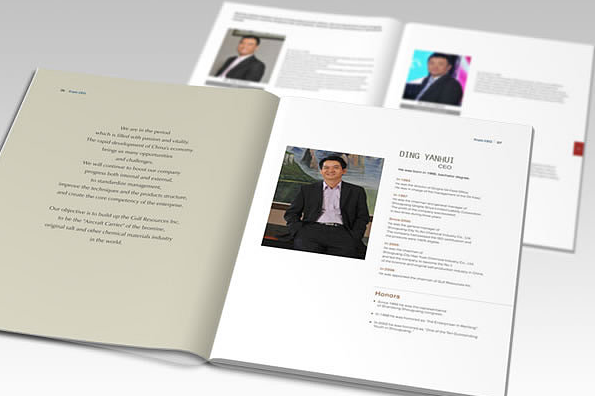 光電畫冊設(shè)計【艾比森】高端大氣畫冊設(shè)計欣賞