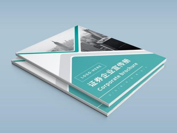 東莞畫冊彩頁設計 東莞畫冊彩頁設計