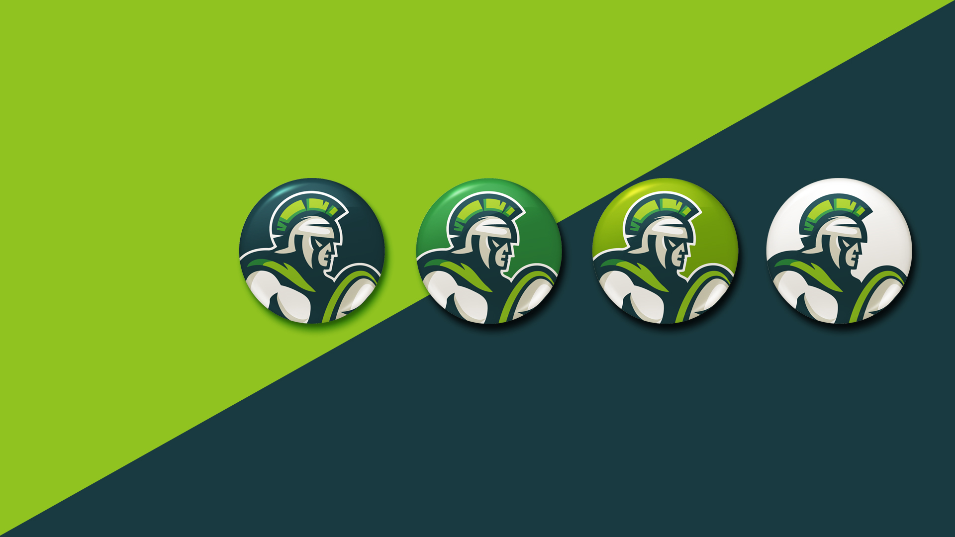 1688806822900347.jpg 20170727_182511_008.jpg